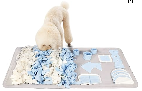 White poodle sniffing fleece puzzle mat, looking for treats